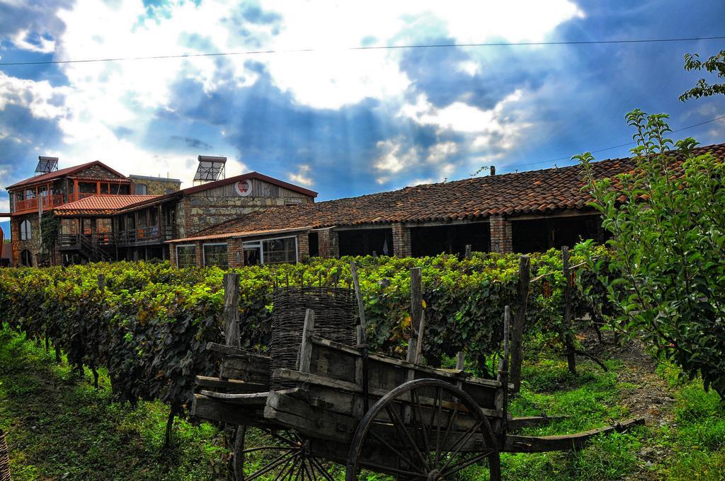 Twins Wine House Hotell Napareuli Exteriör bild
