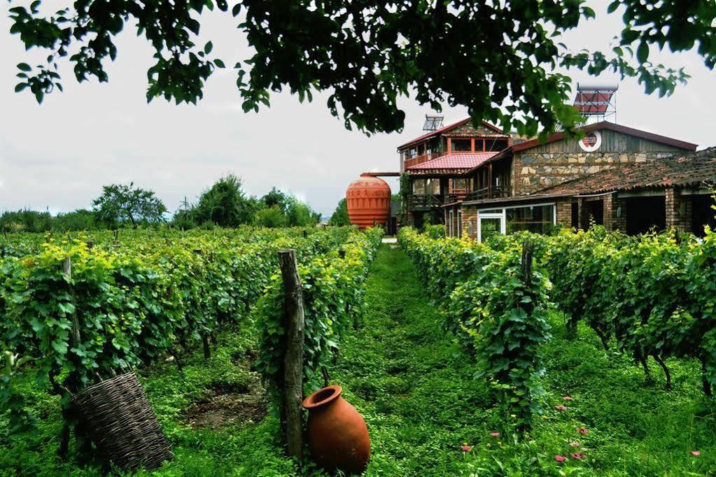 Twins Wine House Hotell Napareuli Exteriör bild