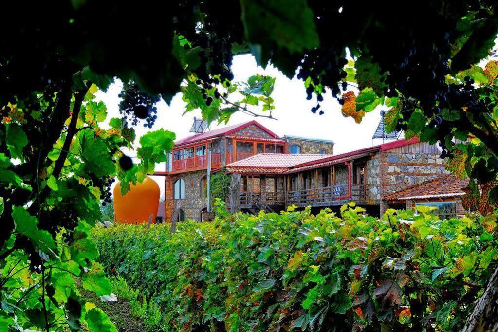Twins Wine House Hotell Napareuli Exteriör bild